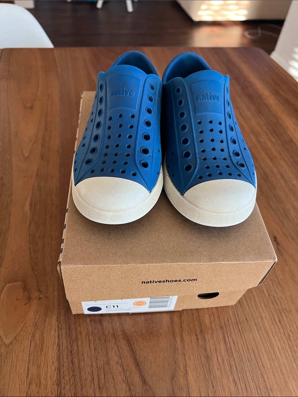 Native Jefferson shows (Victoria blue)